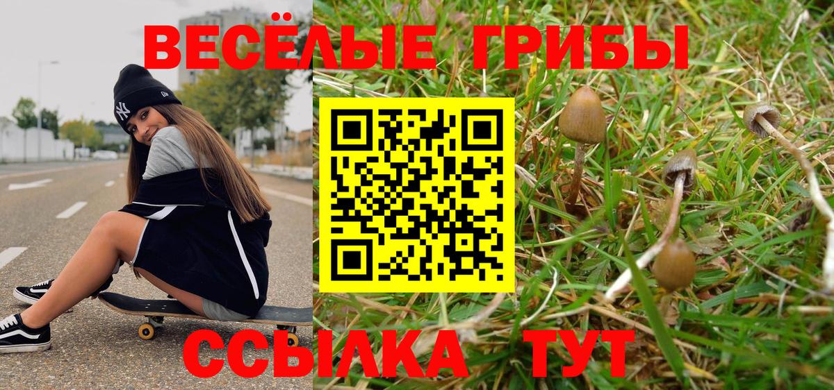 Батайск  Псилоцибиновые грибы ЛСД  Вход с VPN 