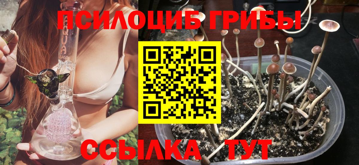 Псилоцибиновые грибы Cubensis Батайск